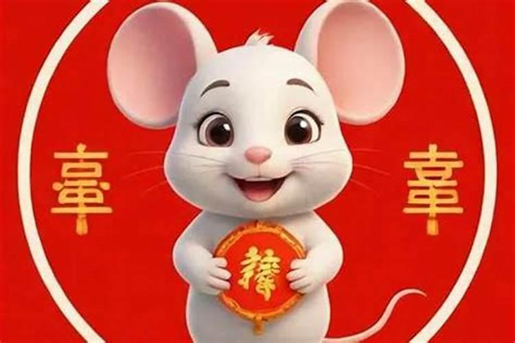 属鼠犯太岁不宜做什么？