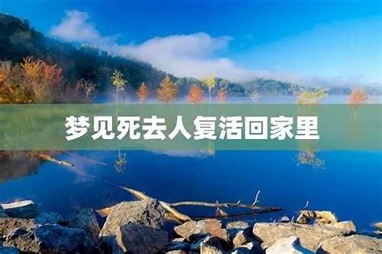 梦见死去的前夫复活回来了