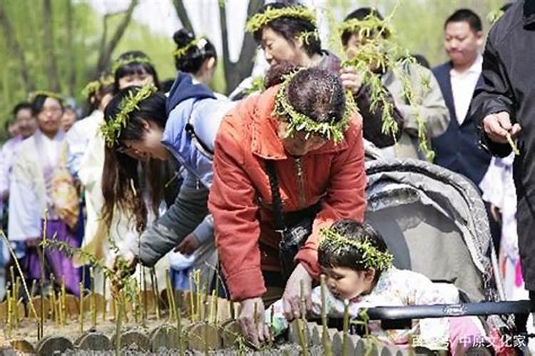清明祭祖插柳