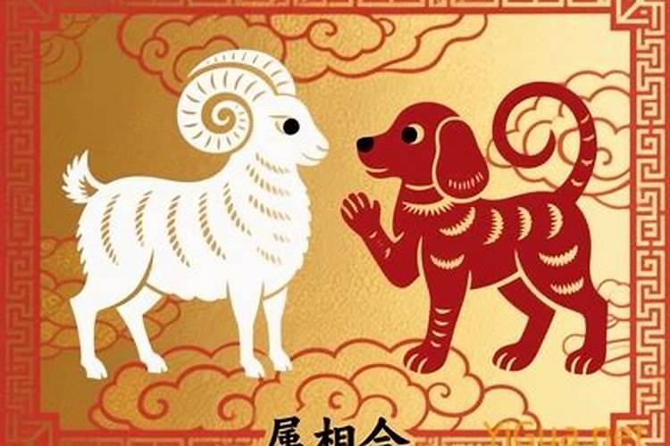 属狗的属羊的八字合吗？