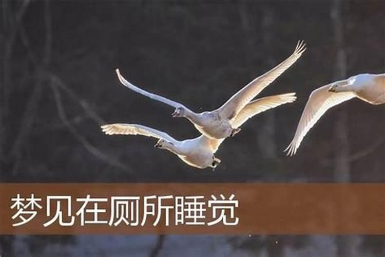梦到在卫生间睡觉是什么意思？
