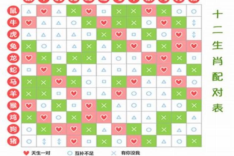 生肖配对到底准不准