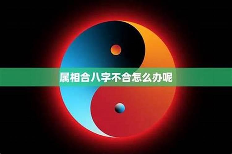 属相不合八字合能在一起吗？