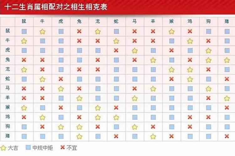 婚配龙配什么属相？