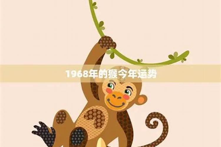 1968男今年运势如何？