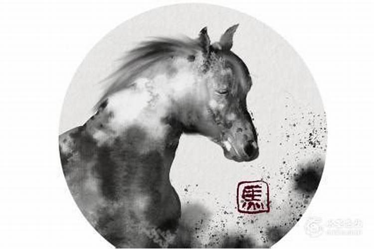 属马的人今年犯太岁吗？