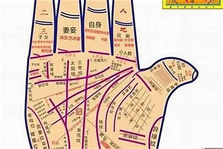 八字合手相哪个更准确？