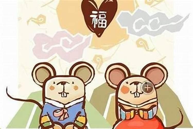 属相婚配鼠配什么好？