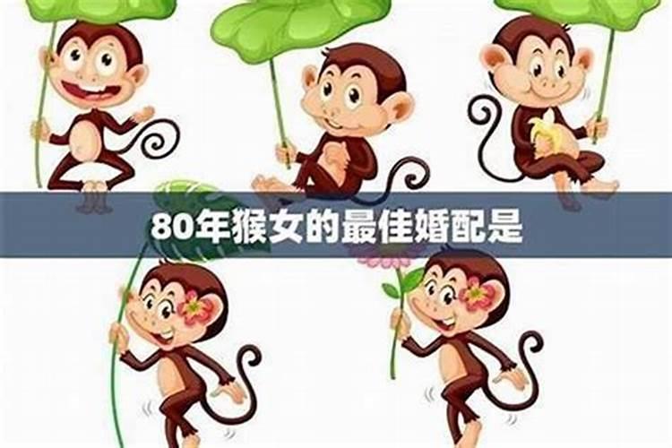 男猴最佳配女什么属相婚配？