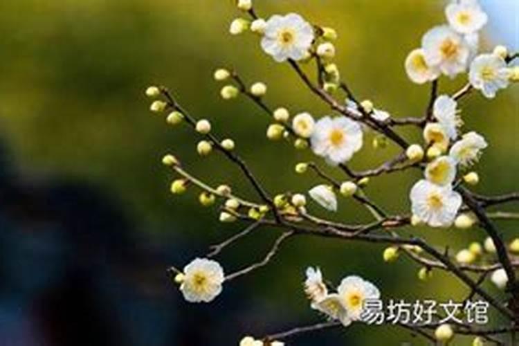 70年几月几号立春？