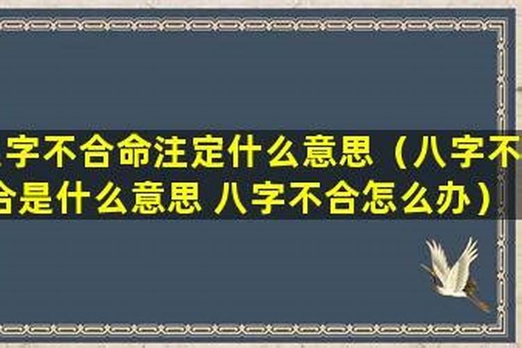 先生说八字八字不合怎么办？