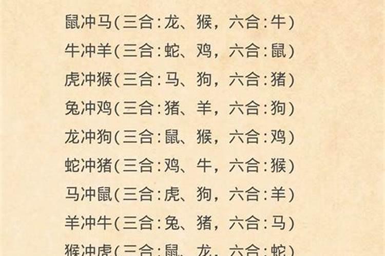 生肖相冲