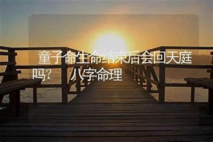 童子命人会幸福吗？
