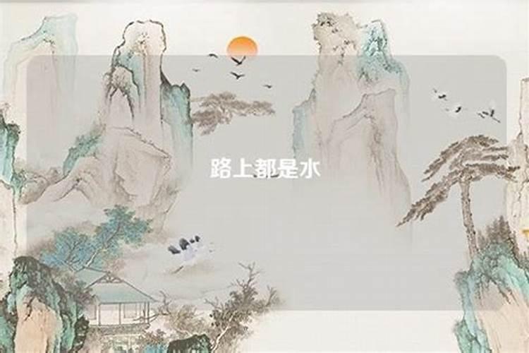 梦见前边的路都是水
