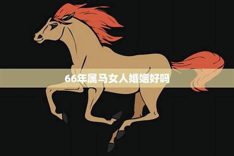 属马婚姻不顺吗？