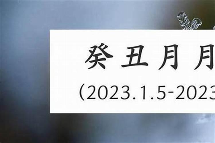 三月十五日的晚会在几台？