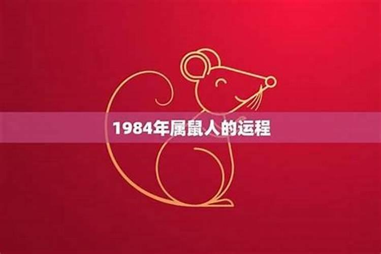 1984鼠2026年运势及运程