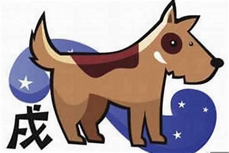 属狗人10年运势运程如何？