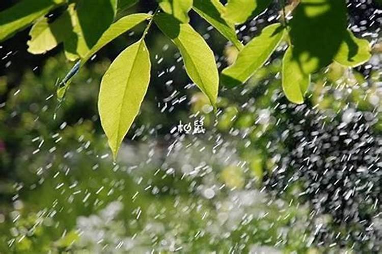 梦到下雨是什么意思是什么？