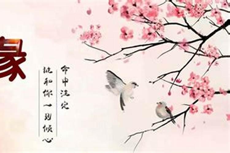 算姻缘可相信吗？