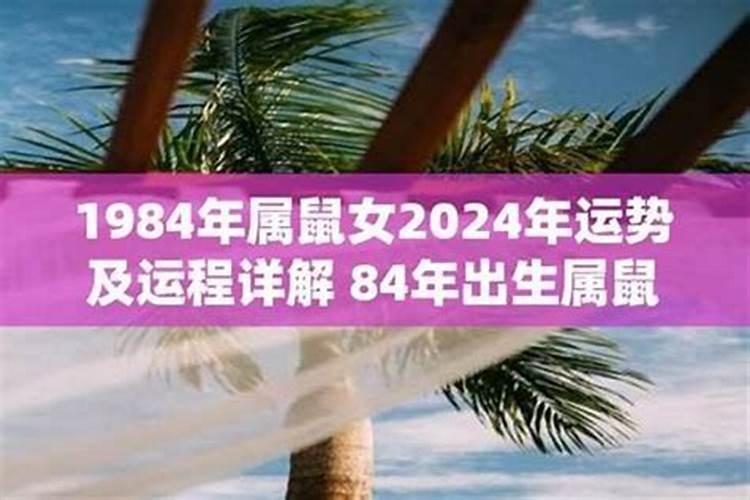 1984女鼠2026年桃花运势如何？
