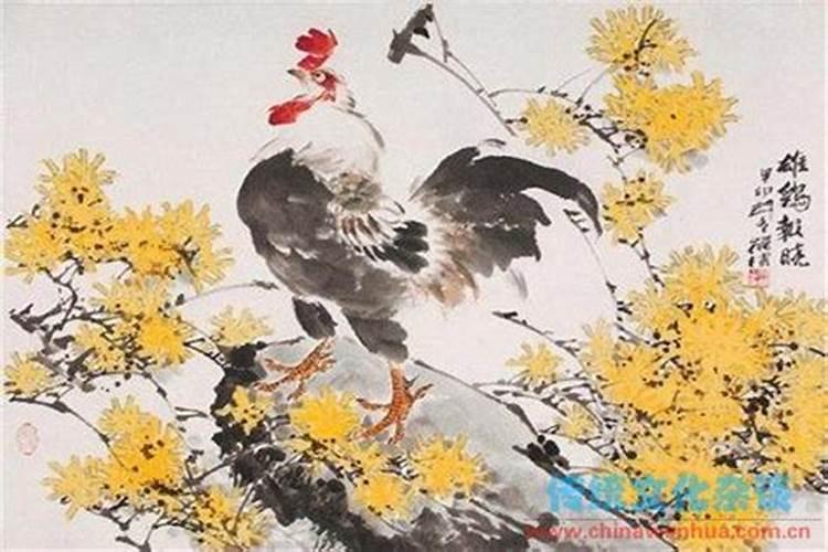鸡报晓是什么时辰？