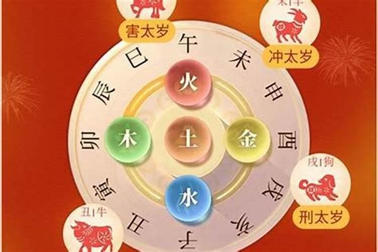 属羊狗年犯太岁怎么办？