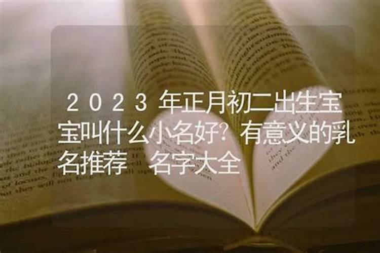 牛宝宝正月初二出生的小名