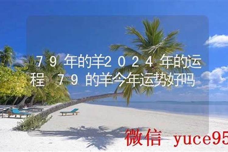 79年今年的运程怎样？