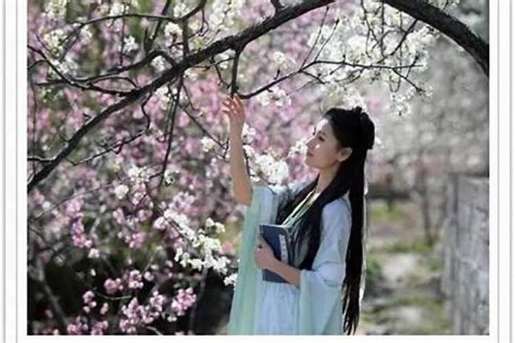 人生难得几清明什么意思？