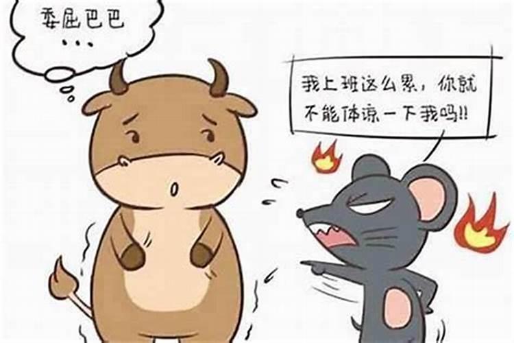 男牛女鼠合婚吗？