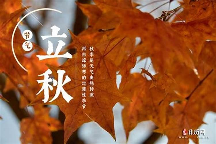 鸡几月几号立秋？