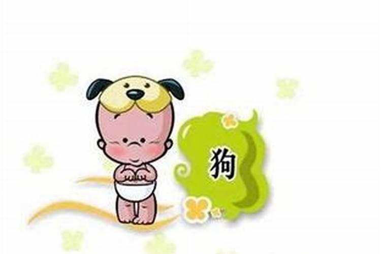 男狗婚配什么属相合适？