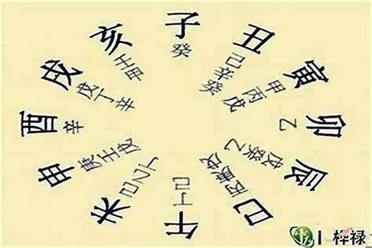 八字排盘童子什么意思？