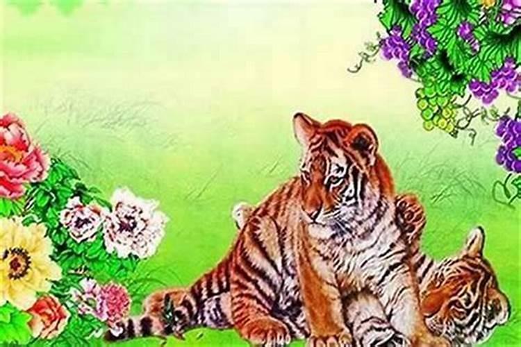 虎本命年运气好不好？