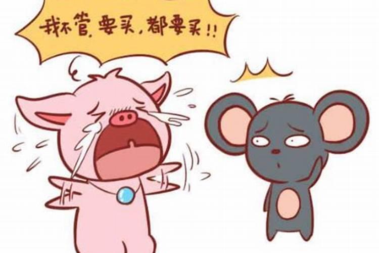 属猪男属鼠女八字合吗？