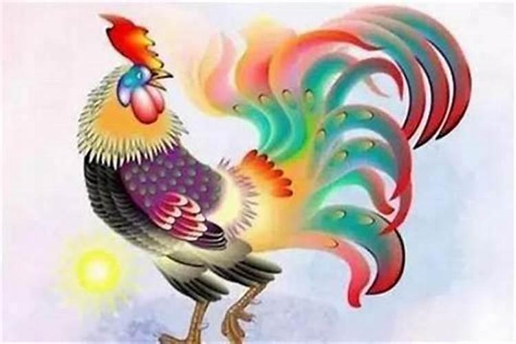 农历12月属鸡的人运势如何？