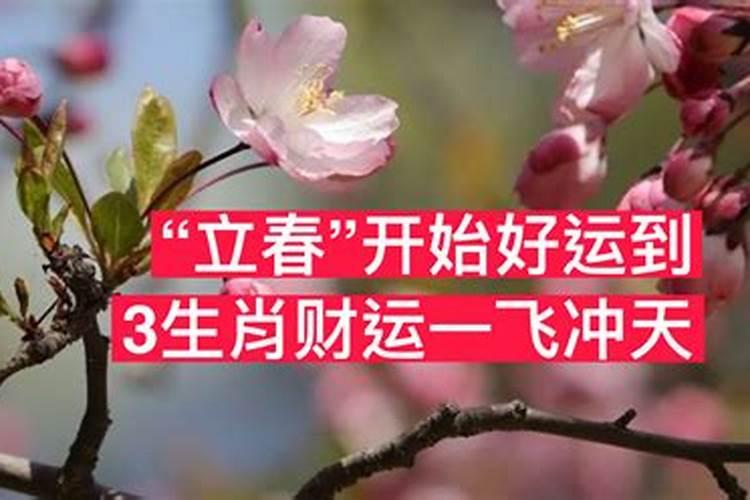 立春鸿运来