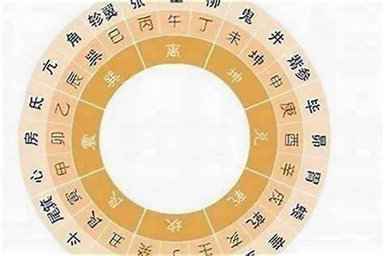 龙和鼠八字合吗？