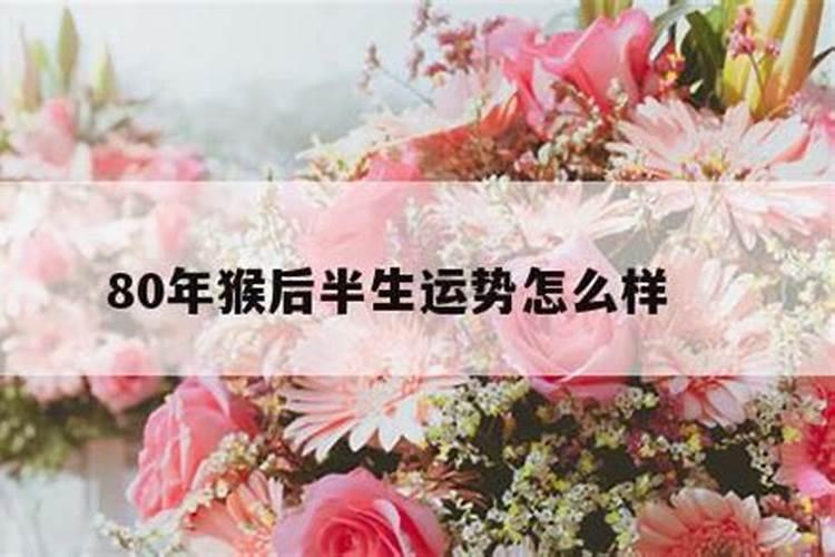 男兔女鸡运势如何？