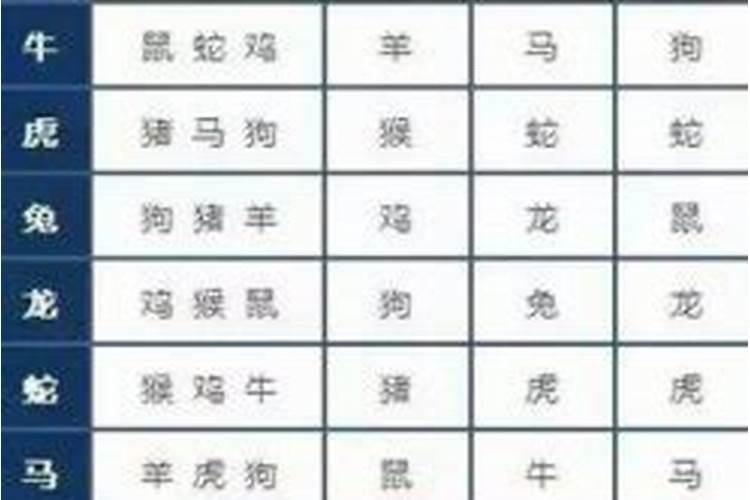 属相婚配到底怎么样？