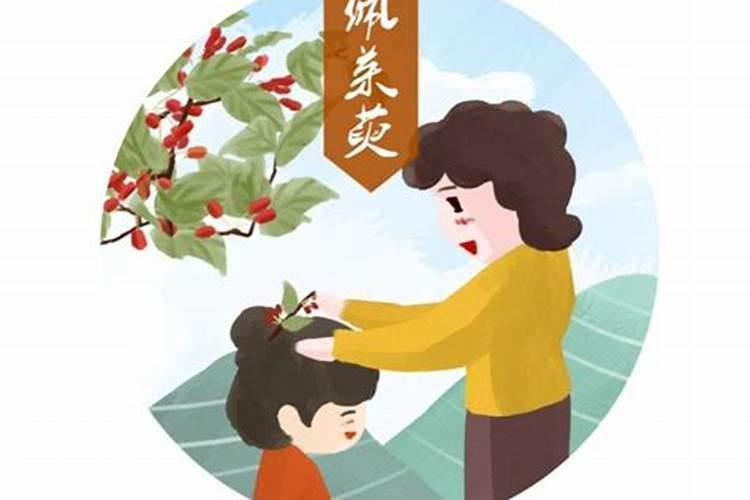 重阳节的习俗插艾枝
