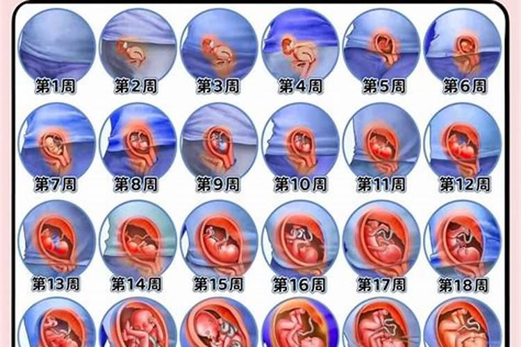 胎儿流产做法事
