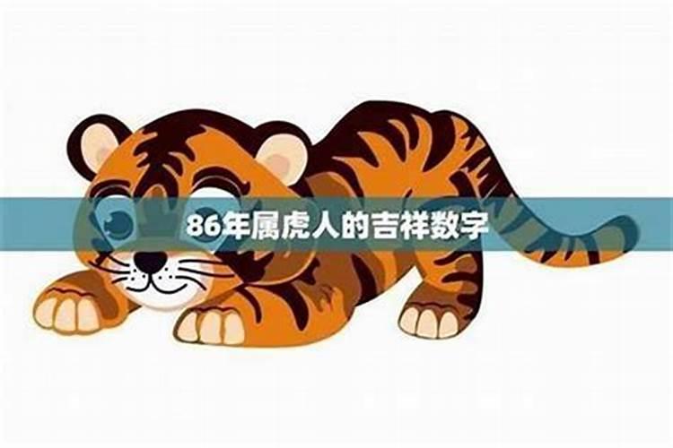 1986出生的2026年的运程