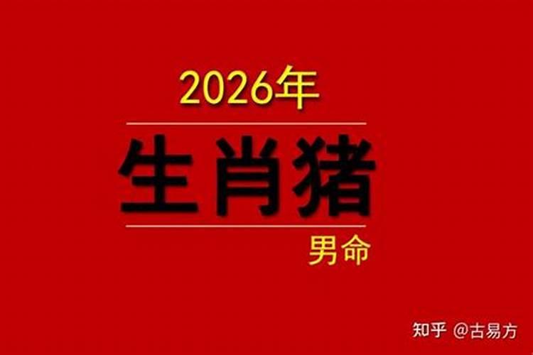 91年男士2026年运势