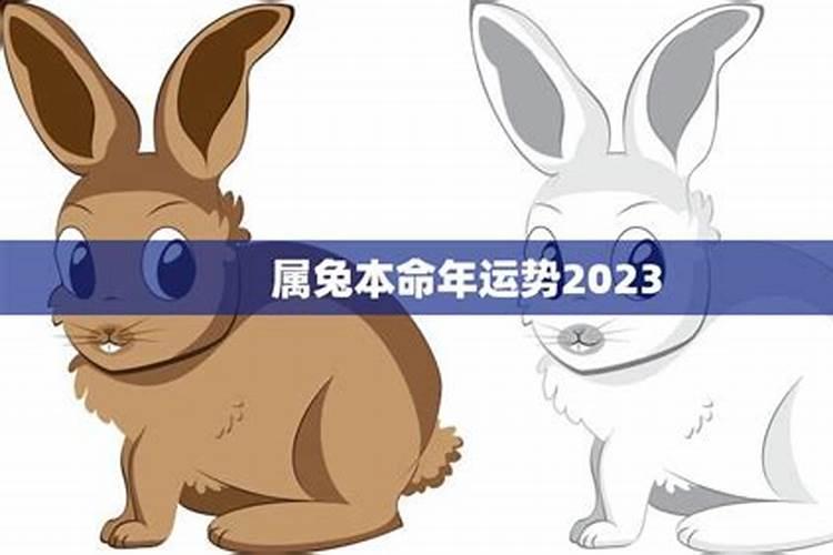 2026属兔本命年可以搬新家吗？