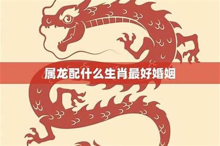 算命婚姻龙配什么意思？