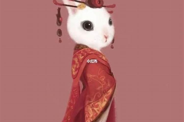属兔农历四月份运势如何？
