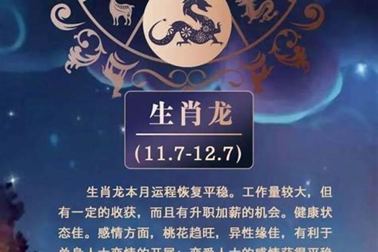 今年腊月的生肖鼠运势如何？