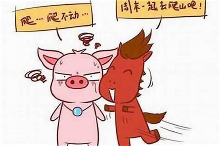 属马女和属猪男合婚吗？